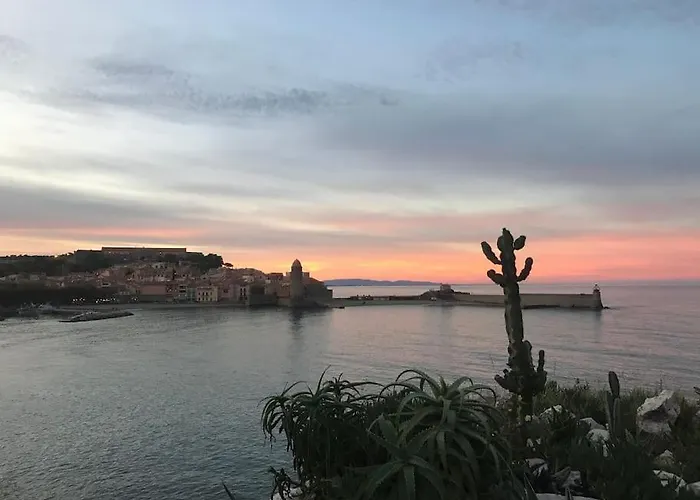 Appartement Collioure Centre & Garage Privatif